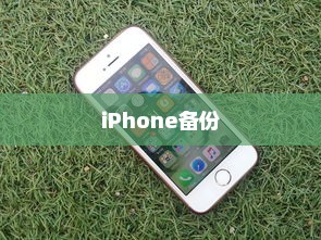 iPhone备份的重要性与作用，数据安全的守护者